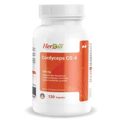 Cordyceps CS-4 500 mg (120 Kapseln)
