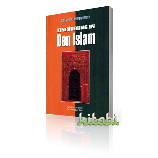 Einfhrung in den Islam - Islam im Brennpunkt